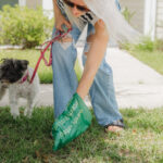 Picking Up After Your Dog Matters More Than You Think